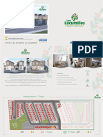 Folleto - Los - Lucumillos Diseño