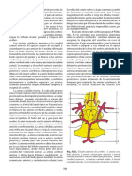 Morfofisiologia Humana Capitulo