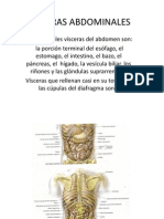 Visceras Abdominales