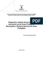 1 Diagnóstico Integral Del SNAP y de Inscripción de Las APMs ULTIMO 4JUL2023