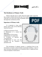 The Deciduous or Primary Teeth