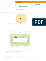 IGCSE - Bio - Worksheet 1 - Life Processes