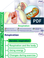 Respiration