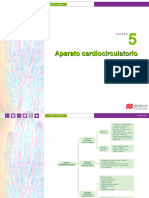 Diapositivas U5 APB