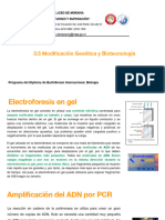 3.5 Modificacion Genetica y Biotecnologia