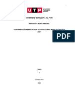 Examen Final Individuo y Medio Ambiente - GRP 10