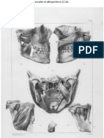 Tratado de Anatomía Humana