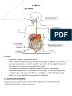 Leçon S10 La Digestion