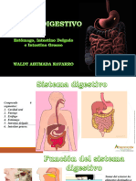 APARATO DIGESTIVO II PDF (ESTOMAGO. INTESTINOS) Waldy