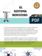 El Sistema Nervioso