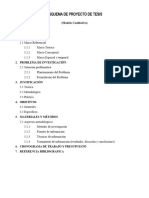 Esquema de Proyecto de Tesis