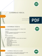 Cateterismo Vesical