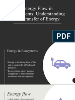 Energy Flow in Ecosystems