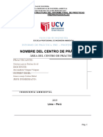 Estructura Informe Final PPPT-I