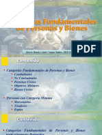 Categorias Fundamentales de Personas y Bienes 2023