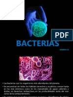 6.1 Bacterias m1