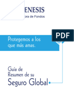 Seguro Global