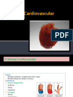 Sistema Cardiovascular - Resumo