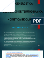 Teoria 14 Bioenergetica - Audio