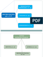 Esquemas Procesal Penal II