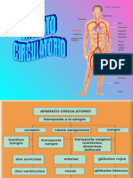 Aparato Circulatorio 2023