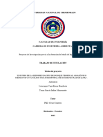 MULTITEMPORAL Tesis Deforestación SAR