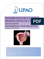 Monografía de Semiología