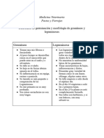 Diferencia de Germinación y Morfología de Gramíneas y Leguminosas