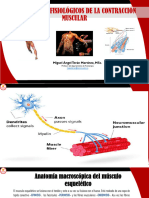 Fisiologia de La Contracción Muscular