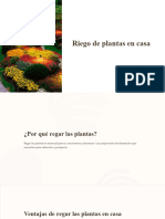 Riego de Plantas en Casa