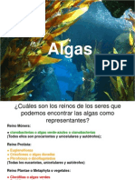 Clasificacion de Las Algas