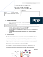 Guia 13 Fisiología Del Sistema Hematopoyético