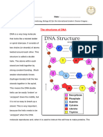 The Structure of DNA 3