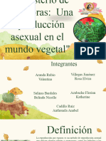 PPT, Exposición, Reproducción de Esporas - PPTX Final