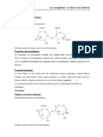 Chapiter 6 Sucres