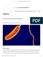 Cólera - Secretaría de Salud - Gobierno - Gob - MX