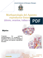 Morfopatologia Del Aparato Reproductor Femenino 1