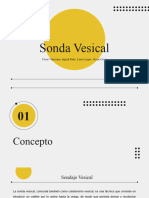 Sonda Vesical