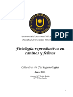 Guía TP. Fisiología Reproductiva en Caninos y Felinos.