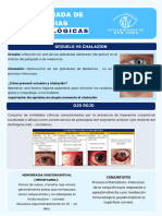 Guia Practica Jornada