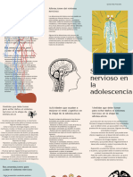 Tríptico Sistema Nervioso en La Adolescencia