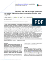 Effect of Supplementing Sheep Diets With Macroalgae Species On in Vivo Nutrient Digestibility, Rumen Fermentation and Blood Amino Acid Profile