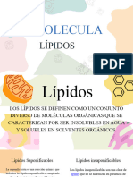 Lipidos