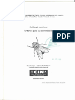 Criterios para Su Identificación