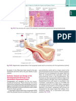 CC Chatterjee's Human Physiology 12th Volume 2