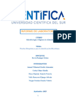 Informe 6-Microbiología