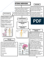 Mapa Mental Sistema Nervioso