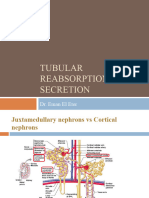 L5&6-Tubular Reabsorption& Secretion