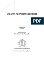 Calcium Aluminate Cements