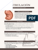 Gastrulación y HCG